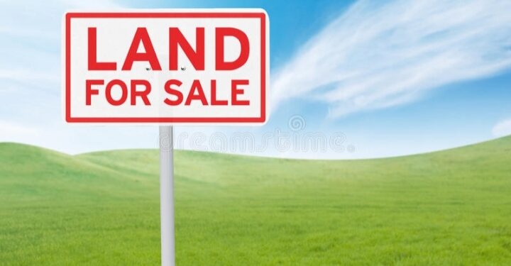 ಬೆಳ್ಳಾರೆಯಲ್ಲಿ ಜಾಗ ಮಾರಾಟಕ್ಕಿದೆ