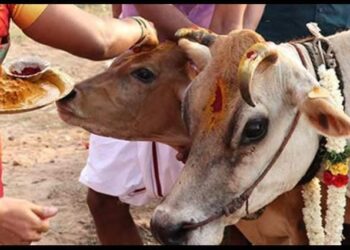 (ನ. 14) ಶ್ರೀ ಕ್ಷೇತ್ರ ಹನುಮಗಿರಿಯಲ್ಲಿ ಸಾರ್ವಜನಿಕ ಗೋ ಪೂಜಾ ಕಾರ್ಯಕ್ರಮ