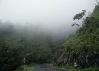 ಚಾರ್ಮಾಡಿ ಘಾಟ್ ನಲ್ಲಿ ಪ್ರಪಾತಕ್ಕೆ ಉರುಳಿಬಿದ್ದ ಕಾರು: ನಾಲ್ವರಿಗೆ ಗಾಯ