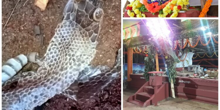 ಕೆಮ್ಮಾಯಿ ಅಶ್ವತ್ಥ ಮಹೋತ್ಸವದ ಕಾರ್ಯಕ್ರಮದಲ್ಲೊಂದು ವಿಸ್ಮಯ ಘಟನೆ