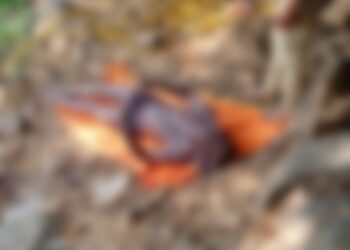 ಶಾಂತಿಗೊಡು: ಕುಮಾರಧಾರ ನದಿಯಲ್ಲಿ ನಾಪತ್ತೆಯಾಗಿದ್ದ ವ್ಯಕ್ತಿಯ ಮೃತದೇಹ ಪತ್ತೆ