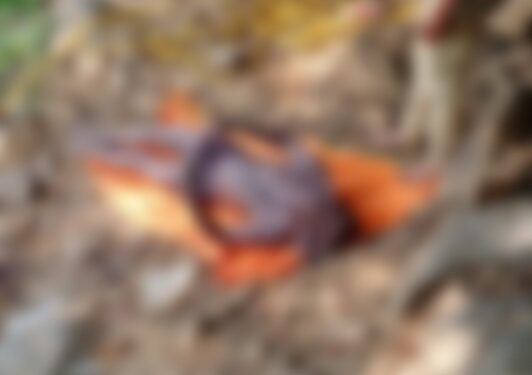 ಶಾಂತಿಗೊಡು: ಕುಮಾರಧಾರ ನದಿಯಲ್ಲಿ ನಾಪತ್ತೆಯಾಗಿದ್ದ ವ್ಯಕ್ತಿಯ ಮೃತದೇಹ ಪತ್ತೆ