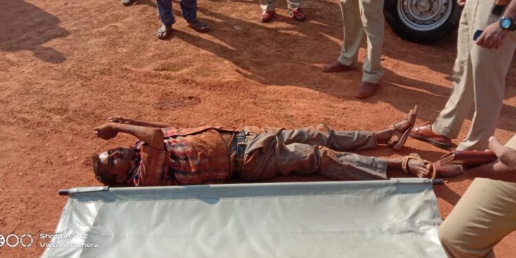 ಪುತ್ತೂರು : ಮಹಾಲಿಂಗೇಶ್ವರ ಗದ್ದೆಯಲ್ಲಿ ಅಪರಿಚಿತ ವ್ಯಕ್ತಿಯ ಶವ ಪತ್ತೆ