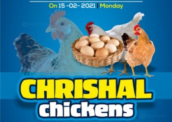 (ಫೆ.15)ಹಾರಾಡಿಯಲ್ಲಿ ಕ್ರಿಶಲ್ ಚಿಕನ್ ಶುಭಾರಂಭ