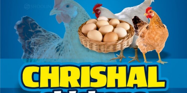 (ಫೆ.15)ಹಾರಾಡಿಯಲ್ಲಿ ಕ್ರಿಶಲ್ ಚಿಕನ್ ಶುಭಾರಂಭ