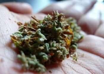 ರೈಲಿನಲ್ಲಿ 45 ಕೆ.ಜಿ ಗಾಂಜಾ ಸಾಗಾಟ: ಇಬ್ಬರ ಬಂಧನ