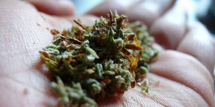 ರೈಲಿನಲ್ಲಿ 45 ಕೆ.ಜಿ ಗಾಂಜಾ ಸಾಗಾಟ: ಇಬ್ಬರ ಬಂಧನ