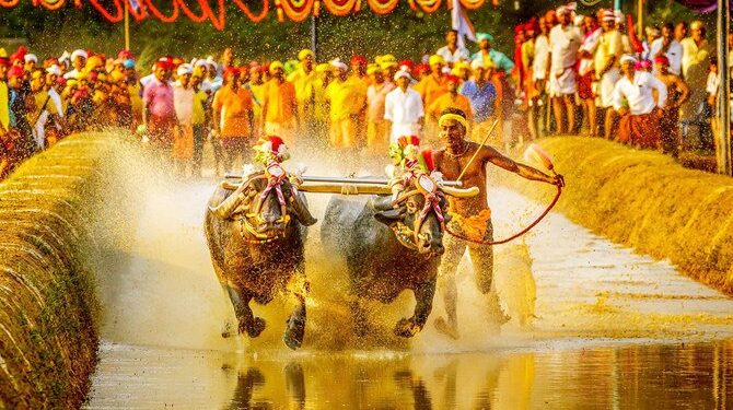 ಕರಾವಳಿಯ ಜಾನಪದ ಕ್ರೀಡೆ ಕಂಬಳಕ್ಕೆ ರಾಜ್ಯ ಸರ್ಕಾರದಿಂದ ಭರ್ಜರಿ ಗಿಫ್ಟ್ : 1.00 ಕೋಟಿ ರೂ.ಗಳ  ಪ್ಯಾಕೇಜ್ ಬಿಡುಗಡೆ