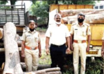 ಪುತ್ತೂರು : ಅರಣ್ಯ ಇಲಾಖೆ ಕಾರ್ಯಾಚರಣೆ : ಮರದ ದಿಮ್ಮಿಗಳ ಅಕ್ರಮ ಸಾಗಾಟ ಪತ್ತೆ