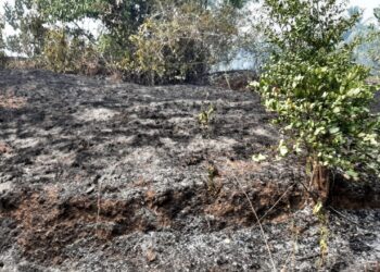 ಸಾಮೆತ್ತಡ್ಕ : ಬೆಂಕಿ ಅವಘಡ : ಹೊತ್ತಿ ಉರಿದ ಗುಡ್ಡೆ ಅಗ್ನಿಶಾಮಕ ದಳದ ಸಿಬ್ಬಂದಿಗಳಿಂದ ಕಾರ್ಯಾಚರಣೆ- ಬೆಂಕಿ ಹತೋಟಿಗೆ