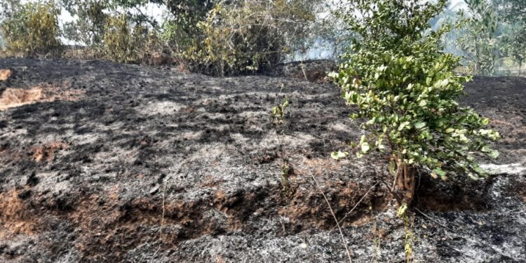 ಸಾಮೆತ್ತಡ್ಕ : ಬೆಂಕಿ ಅವಘಡ : ಹೊತ್ತಿ ಉರಿದ ಗುಡ್ಡೆ ಅಗ್ನಿಶಾಮಕ ದಳದ ಸಿಬ್ಬಂದಿಗಳಿಂದ ಕಾರ್ಯಾಚರಣೆ- ಬೆಂಕಿ ಹತೋಟಿಗೆ