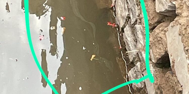 ಪಡುಮಲೆಯಲ್ಲಿ ಕಂಡಿತು ಅಪರೂಪದ ದೃಶ್ಯ : ಜನ್ಮಸ್ಥಾನದ ತೀರ್ಥಬಾವಿಯಲ್ಲಿ ನಾಗದೇವನ ಹೆಡೆರೂಪ ಪ್ರತ್ಯಕ್ಷ – ಭಕ್ತವೃಂದಕ್ಕೆ ಅಚ್ಚರಿ