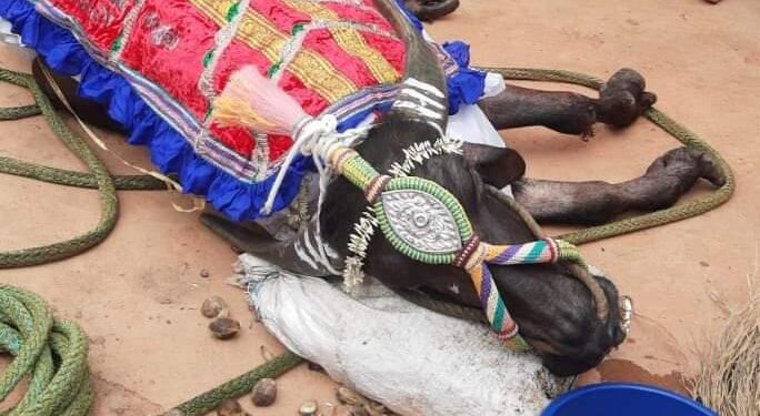 ಕಂಬಳ ಸಾಮ್ರಾಜ್ಯದ ಮತ್ತೊಬ್ಬ ಸೇನಾಧಿಪತಿಯ ಯುಗಾಂತ್ಯ : ಇತಿಹಾಸ ಪುಟ ಸೇರಿದ ‘ಬೋಳಂತೂರು ಕಾಟಿ’