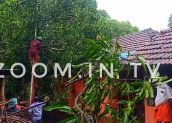 ಪುತ್ತೂರು ಸಿಡಿಲು ಗಾಳಿ ಸಹಿತ ಭಾರಿ ಮಳೆ ; ಮುಂಡೂರು ಗ್ರಾ.ಪಂ ಅಧ್ಯಕ್ಷೆ ಪುಷ್ಪಾವತಿ ಮನೆಗೆ ಮರ ಬಿದ್ದು ಹಾನಿ