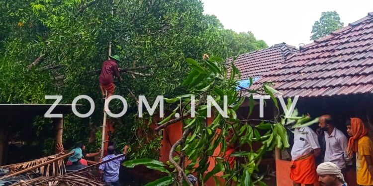 ಪುತ್ತೂರು ಸಿಡಿಲು ಗಾಳಿ ಸಹಿತ ಭಾರಿ ಮಳೆ ; ಮುಂಡೂರು ಗ್ರಾ.ಪಂ ಅಧ್ಯಕ್ಷೆ ಪುಷ್ಪಾವತಿ ಮನೆಗೆ ಮರ ಬಿದ್ದು ಹಾನಿ