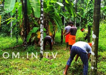 ಕೆಯ್ಯೂರು : ವಿ. ಹೆಚ್. ಪಿ ಬಜರಂಗದಳ ಕಾರ್ಯಕರ್ತರಿಂದ ಗೋ ಶಾಲೆಗೆ ಹಸಿ ಹುಲ್ಲು ಸಂಗ್ರಹಣೆ