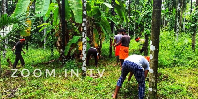 ಕೆಯ್ಯೂರು : ವಿ. ಹೆಚ್. ಪಿ ಬಜರಂಗದಳ ಕಾರ್ಯಕರ್ತರಿಂದ ಗೋ ಶಾಲೆಗೆ ಹಸಿ ಹುಲ್ಲು ಸಂಗ್ರಹಣೆ