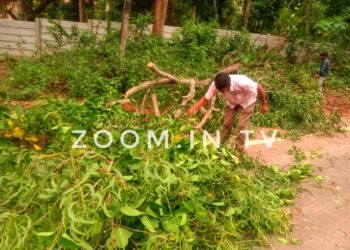 ದರ್ಬೆ : ನಗರ ಸಭಾ ವಾಹನ ಚಾಲಕರು ಮತ್ತು ಸಿಬ್ಬಂದಿಗಳಿಂದ ರಸ್ತೆಗೆ ಅಡ್ಡವಾಗಿ ಬಿದ್ದ ಮರ ತೆರವು