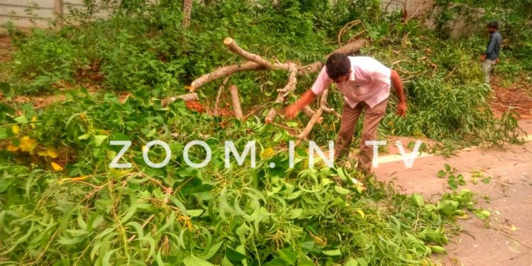 ದರ್ಬೆ : ನಗರ ಸಭಾ ವಾಹನ ಚಾಲಕರು ಮತ್ತು ಸಿಬ್ಬಂದಿಗಳಿಂದ ರಸ್ತೆಗೆ ಅಡ್ಡವಾಗಿ ಬಿದ್ದ ಮರ ತೆರವು