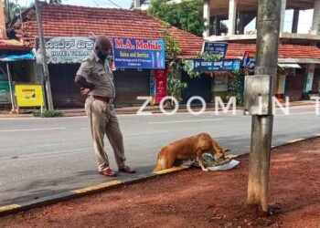 ಮೂಕ ಪ್ರಾಣಿಯ ಹಸಿವು ನೀಗಿಸಿದ ಪುತ್ತೂರು ನಗರ ಠಾಣಾ ಎ.ಎಸ್.ಐ ವೆಂಕಟರಮಣ ಗೌಡ
