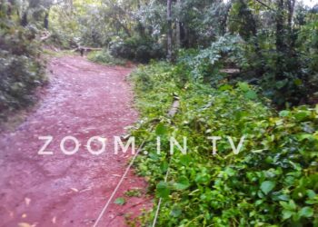 ಪುತ್ತೂರು : ಹೆಬ್ಬರಬೈಲು ಮರ ಬಿದ್ದು ನೆಲಕ್ಕುರುಳಿದ ವಿದ್ಯುತ್ ಕಂಬಗಳು