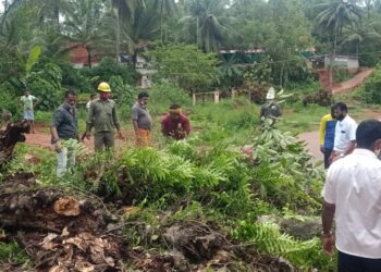 ನರಿಮೊಗರು : ರಸ್ತೆ  ಬದಿಯಲ್ಲಿ ಅಪಾಯಕಾರಿ ಸ್ಥಿತಿಯಲ್ಲಿದ್ದ ಮರ ತೆರವು…!! ಲಾಕ್ ಡೌನ್ ಸಮಯ ಸಮಾಜಮುಖಿ ಕಾರ್ಯಗಳಲ್ಲಿ ತೊಡಗಿಸಿಕೊಂಡ ಶ್ರೀ ರಾಮ ಗೆಳೆಯರ ಬಳಗ ಪುತ್ತಿಲ