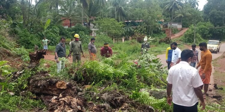 ನರಿಮೊಗರು : ರಸ್ತೆ  ಬದಿಯಲ್ಲಿ ಅಪಾಯಕಾರಿ ಸ್ಥಿತಿಯಲ್ಲಿದ್ದ ಮರ ತೆರವು…!! ಲಾಕ್ ಡೌನ್ ಸಮಯ ಸಮಾಜಮುಖಿ ಕಾರ್ಯಗಳಲ್ಲಿ ತೊಡಗಿಸಿಕೊಂಡ ಶ್ರೀ ರಾಮ ಗೆಳೆಯರ ಬಳಗ ಪುತ್ತಿಲ