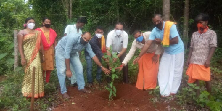 ಪುತ್ತೂರು:  ಸಾಜ ಬಿಜೆಪಿ ಬೂತ್ 105 ವತಿಯಿಂದ ಗಿಡ ನೆಡುವ ಮೂಲಕ ಮೋದಿ ಸರಕಾರದ ಏಳು ವರ್ಷದ ಆಚರಣೆ