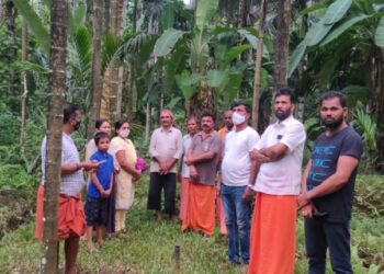 ಮುಂಡೂರು : ತೋಟಕ್ಕೆ  ಸಿಡಿಲು ಬಡಿದು  ಅಡಿಕೆ ಸಸಿಗಳು ನಾಶ;  ಪ್ರಕೃತಿ ವಿಕೋಪದಡಿ ಪರಿಹಾರ ನೀಡುವಂತೆ ಜನಪ್ರತಿನಿಧಿಗಳಿಂದ ಮನವಿ