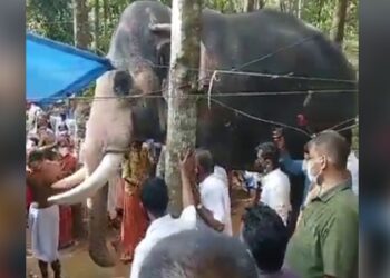 ಸ್ನೇಹಿತನಂತಿದ್ದ ಮಾವುತನ ಸಾವು: ಕಣ್ಣೀರಿಟ್ಟು ಅಂತಿಮ ವಿದಾಯ ಹೇಳಿದ ಪ್ರೀತಿಯ ಆನೆ