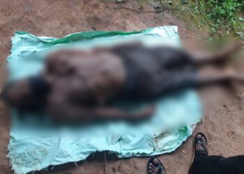 ಕುಂಬ್ರ : ಅಂಗಡಿಯೊಂದರ ಮುಂಭಾಗ ಕುಳಿತಿದ್ದ  ವ್ಯಕ್ತಿ ಮೋರಿಗೆ ಬಿದ್ದು ಸಾವು..!