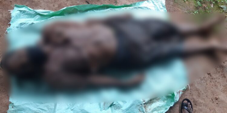 ಕುಂಬ್ರ : ಅಂಗಡಿಯೊಂದರ ಮುಂಭಾಗ ಕುಳಿತಿದ್ದ  ವ್ಯಕ್ತಿ ಮೋರಿಗೆ ಬಿದ್ದು ಸಾವು..!