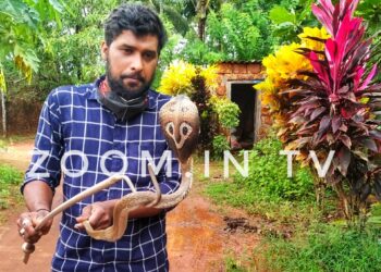 ಪುತ್ತೂರು :  ಹಕ್ಕಿಗೂಡೊಳಗೆ ಸಿಕ್ಕಿ ಹಾಕಿಕೊಂಡಿದ್ದ ಹಾವು- ಯಶಸ್ವಿಯಾಗಿ ಹಿಡಿದು ಅರಣ್ಯಕ್ಕೆ ಬಿಟ್ಟು ರಕ್ಷಣೆ ಮಾಡಿದ ಉರಗಪ್ರೀಮಿ ತೇಜಸ್