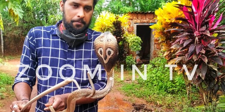 ಪುತ್ತೂರು :  ಹಕ್ಕಿಗೂಡೊಳಗೆ ಸಿಕ್ಕಿ ಹಾಕಿಕೊಂಡಿದ್ದ ಹಾವು- ಯಶಸ್ವಿಯಾಗಿ ಹಿಡಿದು ಅರಣ್ಯಕ್ಕೆ ಬಿಟ್ಟು ರಕ್ಷಣೆ ಮಾಡಿದ ಉರಗಪ್ರೀಮಿ ತೇಜಸ್