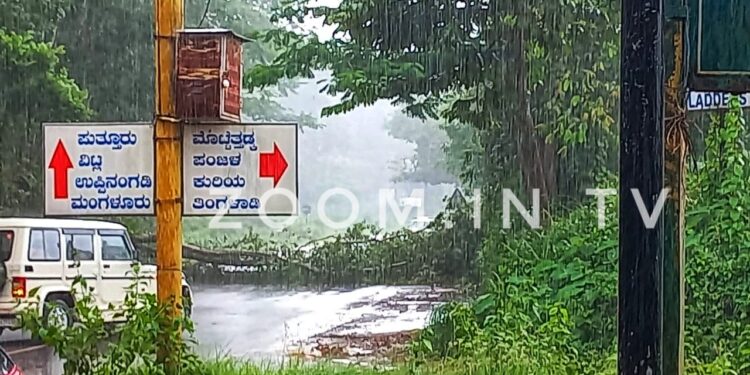ಮುಕ್ರಂಪಾಡಿ: ಭಾರೀ ಗಾಳಿ ಮಳೆಗೆ ಧರೆಗುರುಳಿದ ಬೃಹತ್ ಗಾತ್ರದ ಮರ:; ಸಂಚಾರ ಬಂದ್ : ಸ್ಥಳೀಯರಿಂದ ಹಾಗೂ ಅಗ್ನಶಾಮಕದಳದ ಸಿಬ್ಬಂದಿ ಗಳಿಂದ ತೆರವು ಕಾರ್ಯ