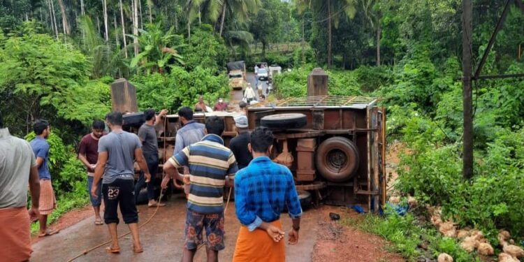 ಪೆರುವಾಯಿಯಲ್ಲಿ ಕೋಳಿ ಸಾಗಾಟದ ಪಿಕಪ್ ಪಲ್ಟಿ:; ಎಲ್ಲರ ಮನೆಯಲ್ಲೂ ಚಿಕನ್ ಡಿನ್ನರ್..!