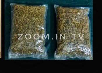 ದೇರಳಕಟ್ಟೆ: ಹೈಡ್ರೋವೀಡ್‌ ಗಾಂಜಾ ಮಾರಾಟ ಯತ್ನ – ವೈದ್ಯೆ ಸೇರಿ ಇಬ್ಬರ ಬಂಧನ