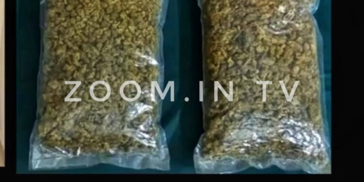 ದೇರಳಕಟ್ಟೆ: ಹೈಡ್ರೋವೀಡ್ ಗಾಂಜಾ ಮಾರಾಟ ಯತ್ನ – ವೈದ್ಯೆ ಸೇರಿ ಇಬ್ಬರ ಬಂಧನ