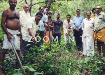 ಕೆಮ್ಮಿಂಜೆ ಶ್ರೀ ಷಣ್ಮುಖ ಸುಬ್ರಹ್ಮಣ್ಯ ದೇವಸ್ಥಾನದ ವ್ಯವಸ್ಥಾಪನ ಸಮಿತಿ ವತಿಯಿಂದ ಗಿಡ ನೆಡುವ ಮೂಲಕ ಪರಿಸರ ದಿನಾಚರಣೆ