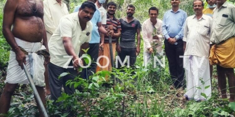 ಕೆಮ್ಮಿಂಜೆ ಶ್ರೀ ಷಣ್ಮುಖ ಸುಬ್ರಹ್ಮಣ್ಯ ದೇವಸ್ಥಾನದ ವ್ಯವಸ್ಥಾಪನ ಸಮಿತಿ ವತಿಯಿಂದ ಗಿಡ ನೆಡುವ ಮೂಲಕ ಪರಿಸರ ದಿನಾಚರಣೆ