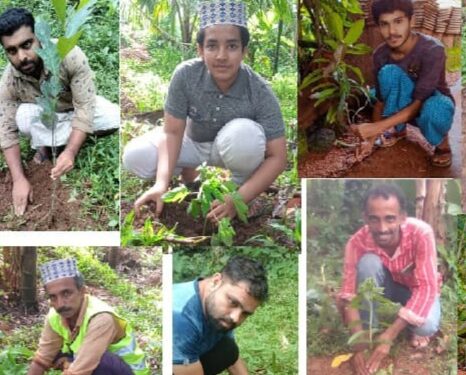 ಬಡಗನ್ನೂರು: ಎಸ್.ವೈ.ಎಸ್.ಎಸ್.ಎಸ್ಎಫ್ ವತಿಯಿಂದ ಪರಿಸರ ದಿನಾಚರಣೆ