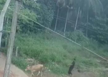 ಉಡುಪಿ: ನೆರೆಮನೆ ಹಸುಕದ್ದು ಟಾಯ್ಲೆಟ್’ನಲ್ಲಿ​ ಹತ್ಯೆ ನಡೆಸಿ ಗೋಮಾಂಸ ಮಾರಾಟ; ಸಿಸಿ ಕ್ಯಾಮರಾ ದೃಶ್ಯದಿಂದಾಗಿ ಸತ್ಯಾಂಶ ಬಯಲು