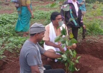 ಉಪನ್ಯಾಸಕರ ಶ್ರೀಶ ಕುಮಾರ್‌ ಕುಂಚದಲ್ಲಿ ಅರಳಿತು ಪರಿಸರದಲ್ಲಿ ಆಮ್ಲಜನಕ ಹೆಚ್ಚಿಸುವ ‘ಅಶ್ವತ್ಥ ವನ’