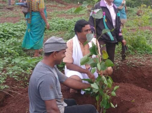 ಉಪನ್ಯಾಸಕರ ಶ್ರೀಶ ಕುಮಾರ್‌ ಕುಂಚದಲ್ಲಿ ಅರಳಿತು ಪರಿಸರದಲ್ಲಿ ಆಮ್ಲಜನಕ ಹೆಚ್ಚಿಸುವ ‘ಅಶ್ವತ್ಥ ವನ’