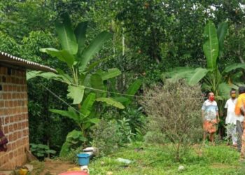 ZOOM.IN TV ವರದಿಯ ಫಲಶ್ರುತಿ:; ತಾಯಿ ಮಗನ ಕಷ್ಟಕ್ಕೆ ಸ್ಪಂದಿಸಿದ ಪುಣಚ ಗ್ರಾ.ಪಂ; ಶೀಘ್ರದಲ್ಲಿ ಸರಿಯಾದ ವ್ಯವಸ್ಥೆ ಕಲ್ಪಿಸುವುದಾಗಿ ಭರವಸೆ