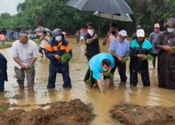 ಉಡುಪಿ : ರಾಜಕೀಯವಾಗಿ ಭಾರಿ ವಿರೋಧಿಗಳಾಗಿದ್ದವರು, ಒಂದೇ ಗದ್ದೆಯಲ್ಲಿ ನಾಟಿ ಮಾಡಿದ್ರು..!