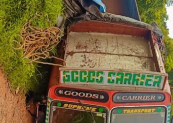 ನೆಲ್ಯಾಡಿ : ಚಾಲಕನ ನಿಯಂತ್ರಣ ತಪ್ಪಿ ಸಿಮೆಂಟ್ ತುಂಬಿದ ಲಾರಿ ಪಲ್ಟಿ..!