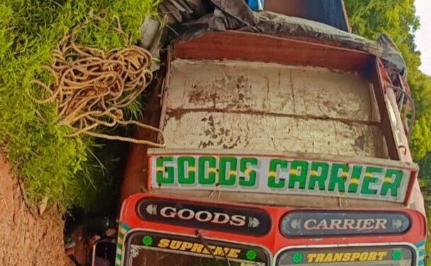 ನೆಲ್ಯಾಡಿ : ಚಾಲಕನ ನಿಯಂತ್ರಣ ತಪ್ಪಿ ಸಿಮೆಂಟ್ ತುಂಬಿದ ಲಾರಿ ಪಲ್ಟಿ..!