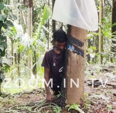 ಪುತ್ತೂರು : ಪಾಲಡ್ಕ ನಿವಾಸಿ ಶರತ್ ನೇಣು ಬಿಗಿದು ಆತ್ಮಹತ್ಯೆ..!