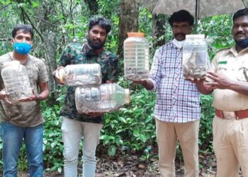 ಬನ್ನೂರಿನ ಉರಗ ಪ್ರೇಮಿ ತೇಜಸ್ ರಿಂದ ಹೆಬ್ಬಾವಿನ 38 ಮೊಟ್ಟೆಗಳ ರಕ್ಷಣೆ